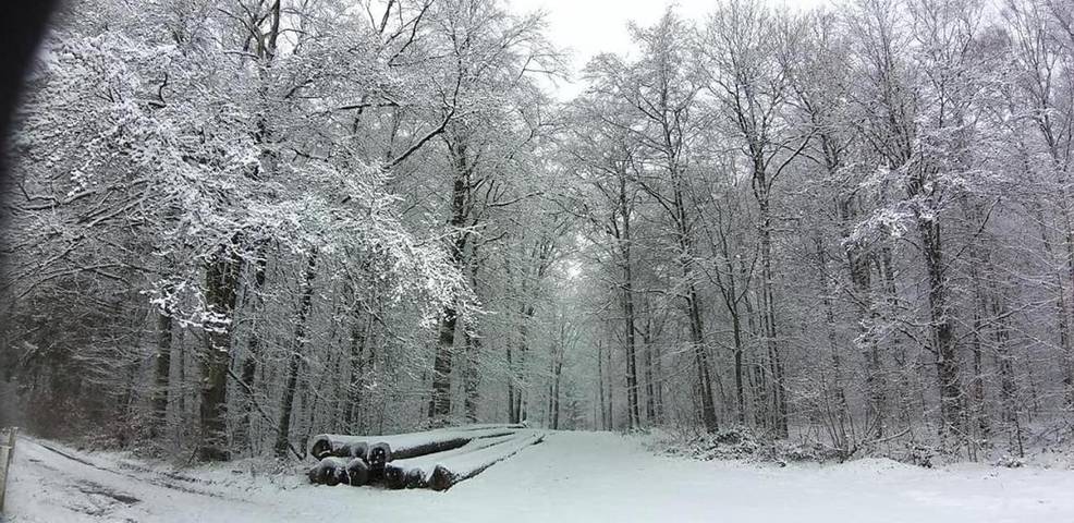Maison d’hôte pour 5 personnes, avec jardin et vue, adapté aux familles dans Région wallonne - 2