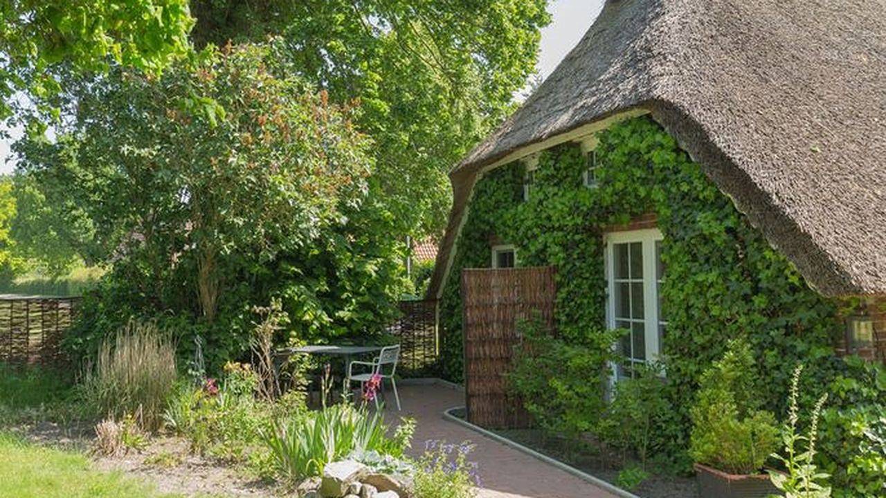 Ganze Ferienwohnung, Ferienwohnung für 2 Personen (50 m²) in Varel in Langendamm, Varel