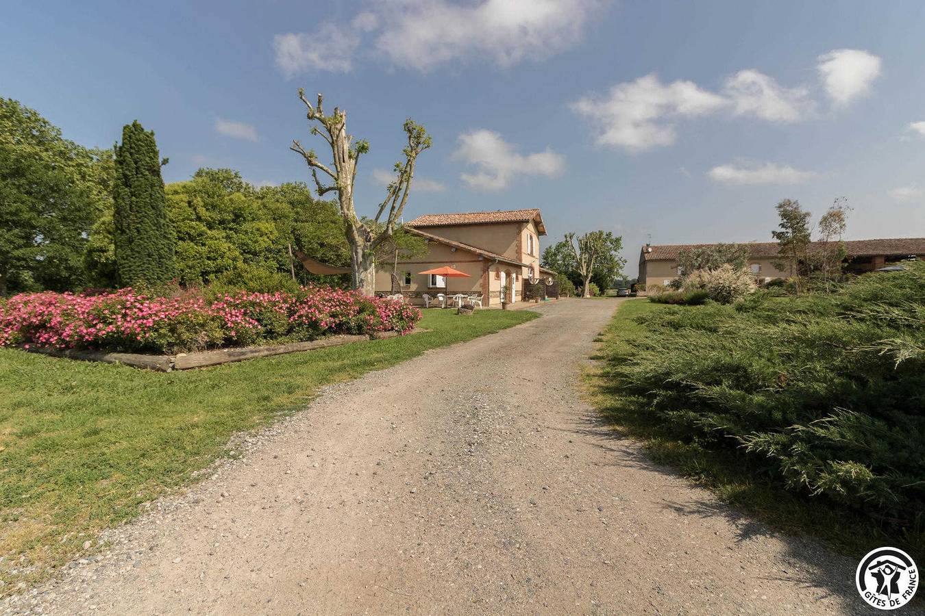 La Tourasse - Les Tournesols in Lamasquère, Alto Garona
