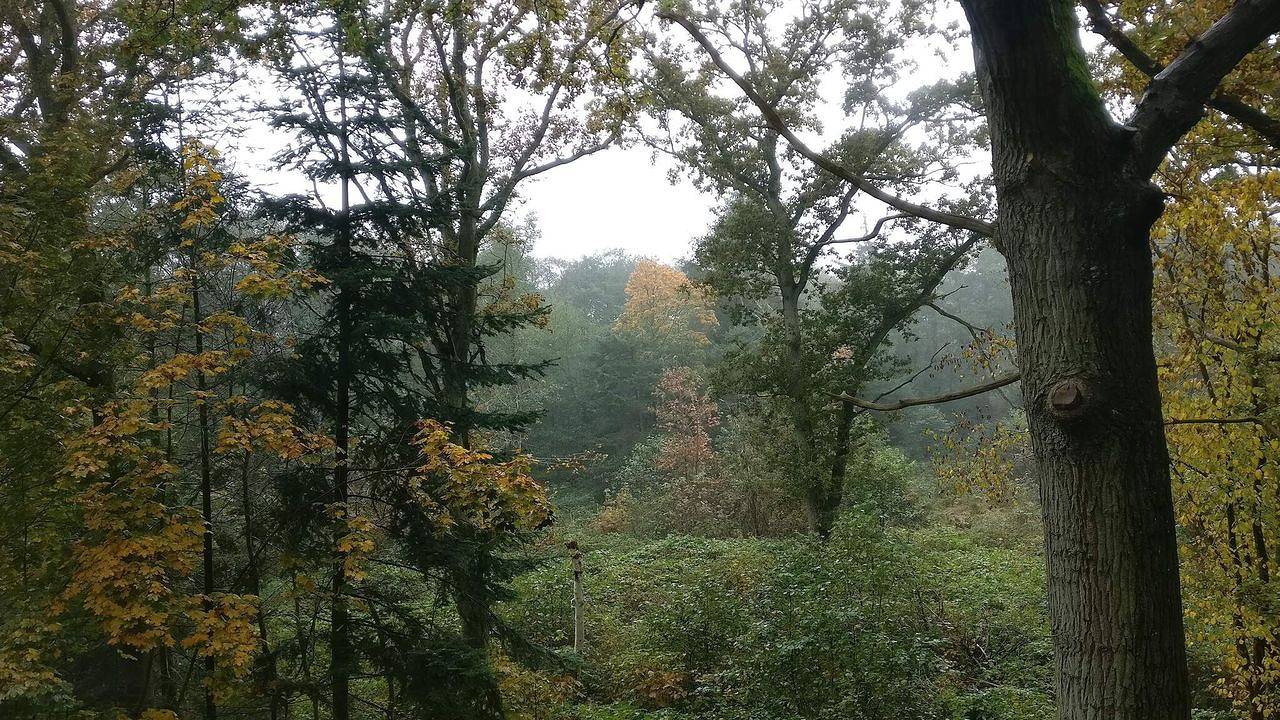 Ferienhaus für 4 Personen (73 m²) in Hadsund in Hadsund, Himmerland