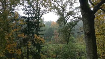 Ferienhaus für 5 Personen in Øster Hurup, Nordjütland, Bild 4