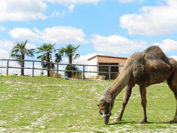 Camping DéfiPlanet' - Alojamiento 2 personas - Cuadrado de estrellas in Dienné, Vienne
