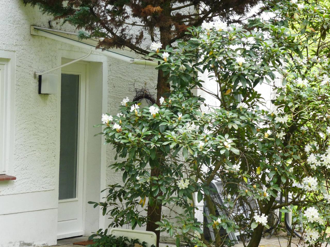Geheel vakantieappartement, Fw Niemann Lutterloh in Südheide, Südheide Nature Park