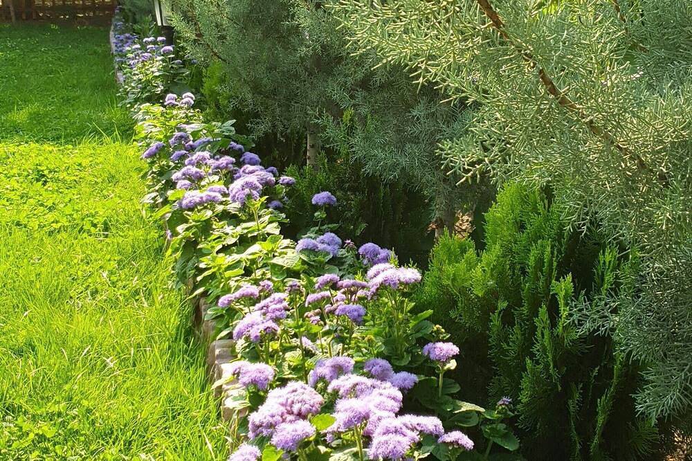 3-bedroom villa in welcoming Cappasocia with Ac in Parc National de Göreme