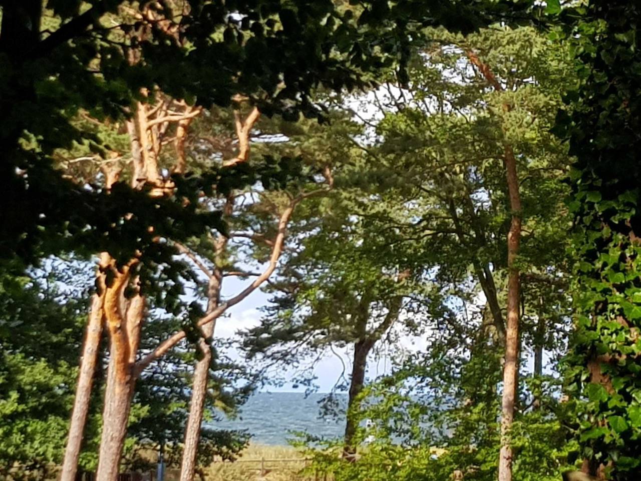 Ganze Ferienwohnung, Strandhaus auf der Düne 1. Reihe - Strandlage - Wlan - Strandhaus auf der Düne 1. Reihe in Seebad Zempin, Zempin