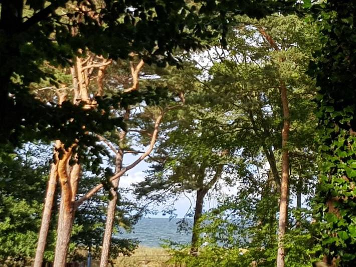 Ferienwohnung für 4 Personen, mit Ausblick und Garten, kinderfreundlich in Bernsteinbäder - 3