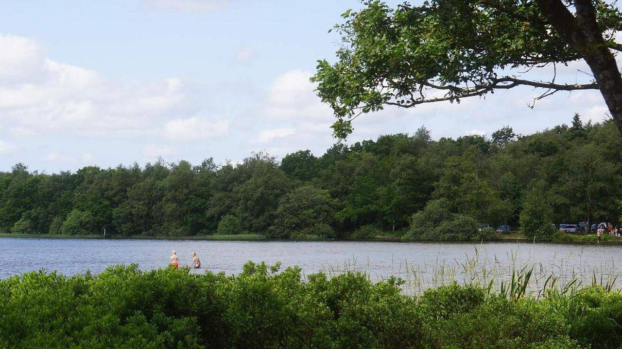 Ferienhaus für 7 Personen (82 m²) in Ansager in Varde