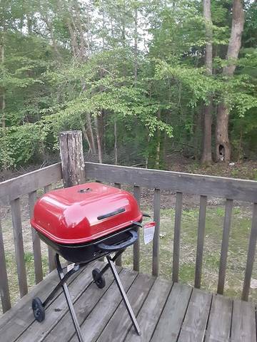Log Cabin for 6 Guests in Indiana, USA, Picture 4