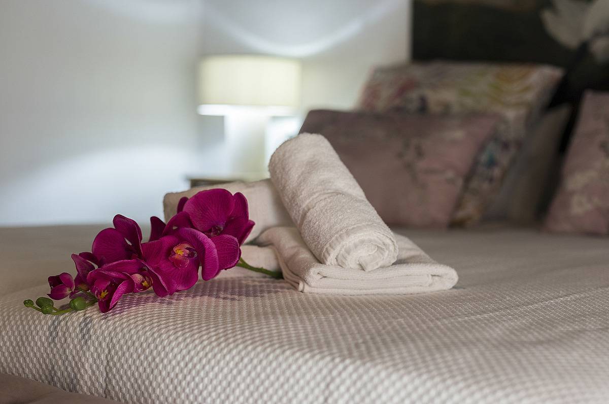 Appartement entier, Duplex Planta Baja - Los Corceles Casa palacio in Jerez de la Frontera, Costa de la Luz