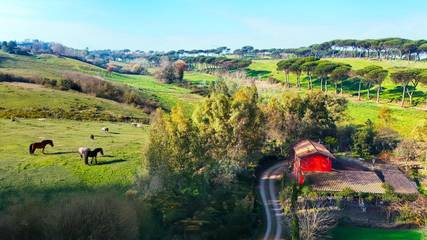 Location de vacances pour 2 personnes, avec terrasse et piscine ainsi que jardin et vue, animaux acceptés dans La Storta
