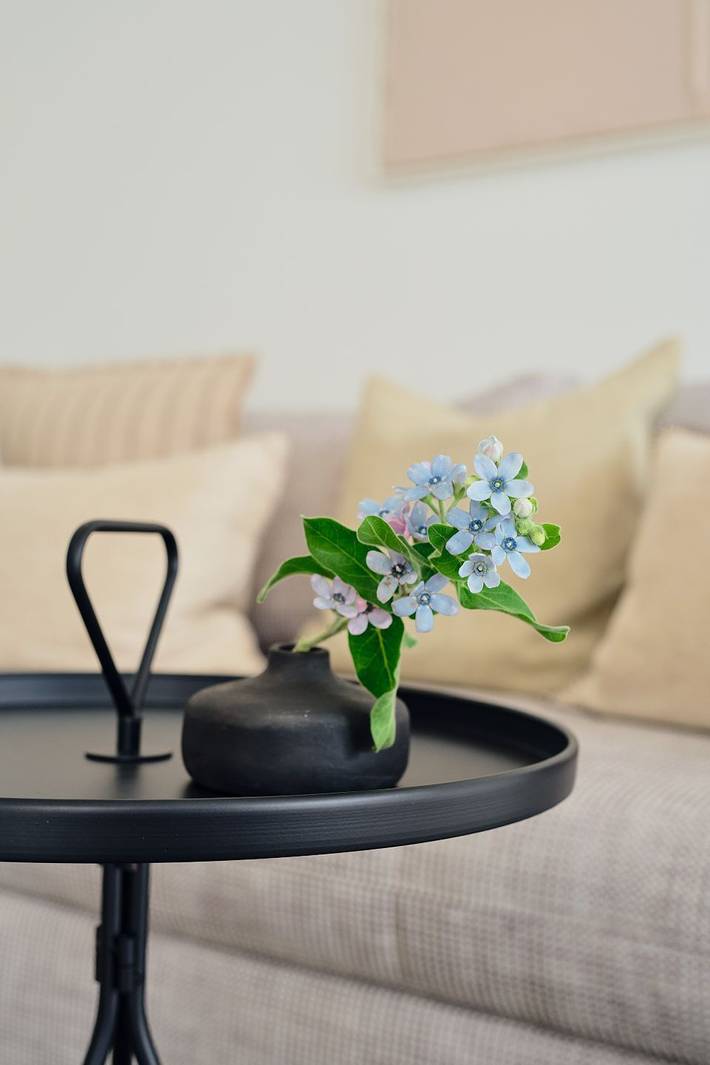 Ferienwohnung für 4 Personen, mit Garten und Ausblick sowie Sauna im Stettiner Haff - 4