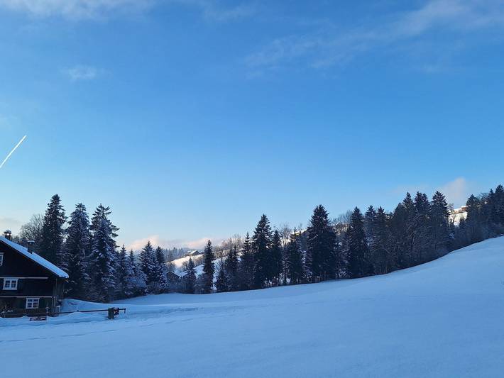 Ganze Ferienwohnung, Ferienwohnung Schoch in Bregenzerwald (Vorarlberg), Langenegg