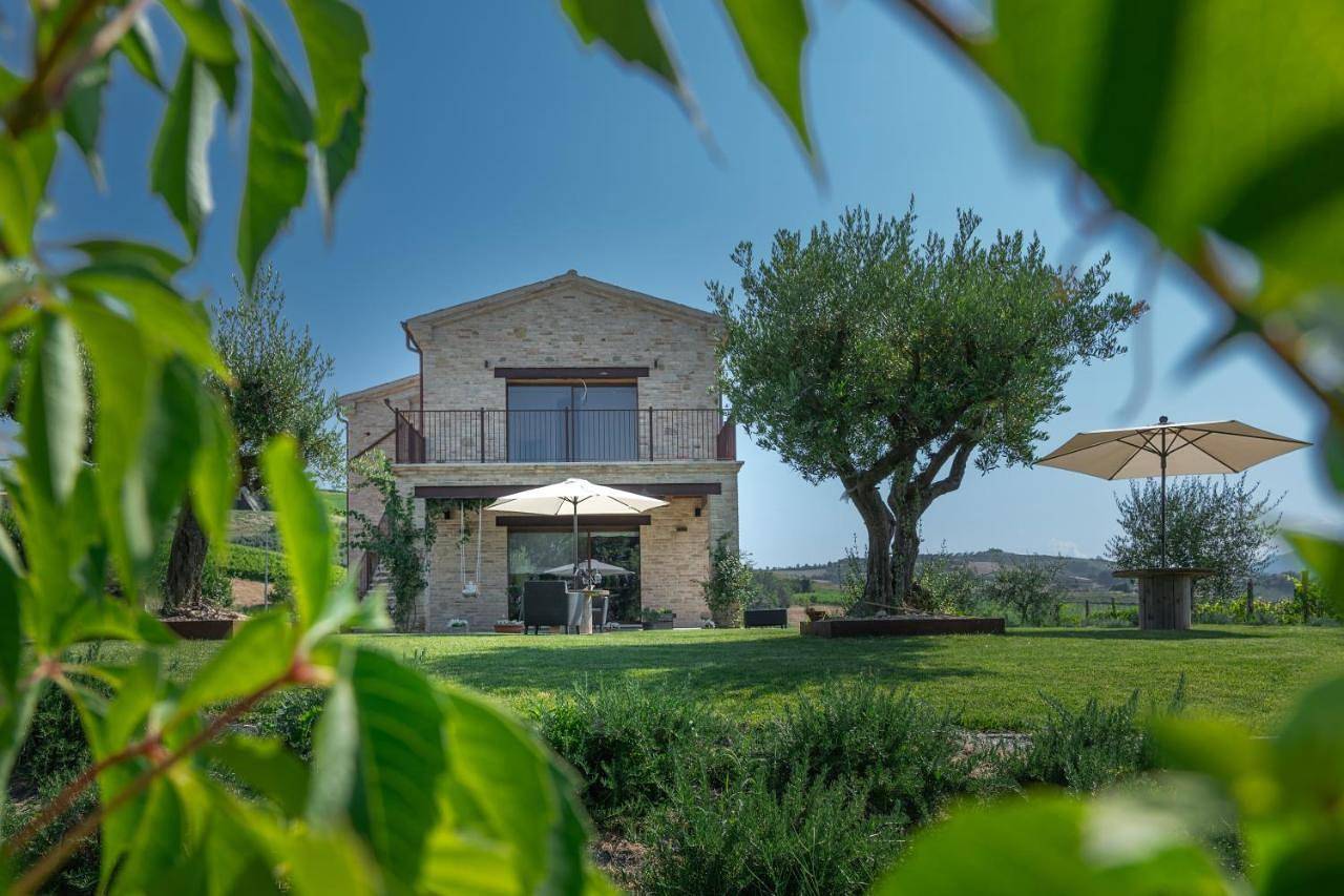 Agriturismo San Nicolino in Offida, Ascoli Piceno Provinz