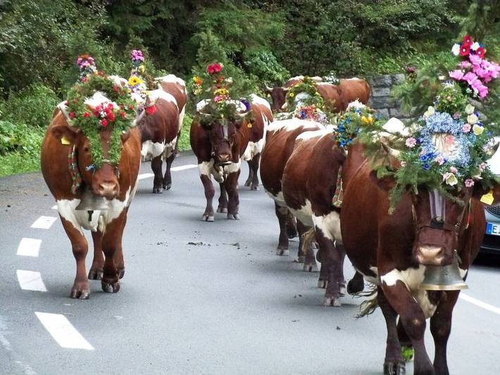 Ferienhaus für 6 Personen, mit Garten und Terrasse sowie Sauna in Hochkrimml - 3