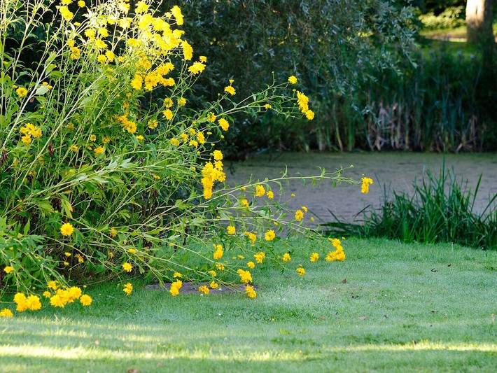 Ferienhaus für 2 Personen, mit Garten in Bastorf - 4