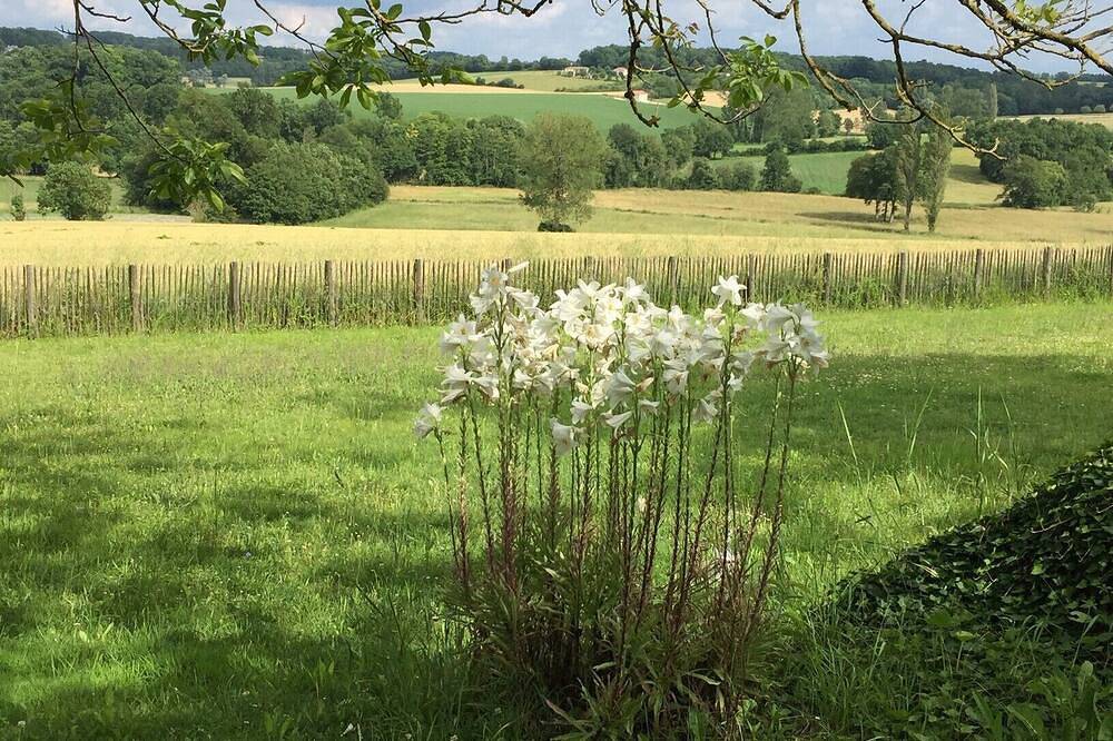 Suchen Sie ein gemütliches Ferienhaus in der ruhigen Gegend Dordogne / Charente? Du hast es gefunden. in Lusignac, Périgord Vert
