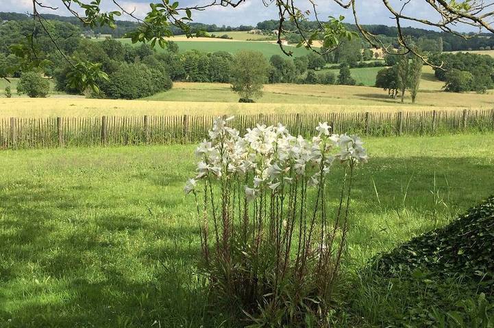 Gîte pour 4 personnes, avec terrasse et jardin à Lusignac