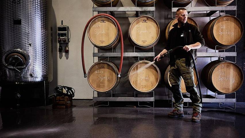 Ferienwohnung für 4 Personen, mit Balkon in Neustadt an der Weinstraße - 4