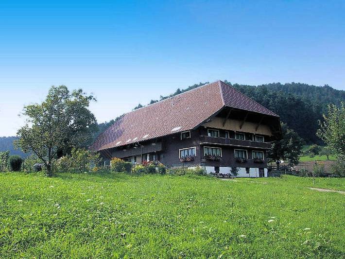 Ferienwohnung für 3 Personen, mit Balkon und Terrasse sowie Garten in Gutach (Schwarzwaldbahn)