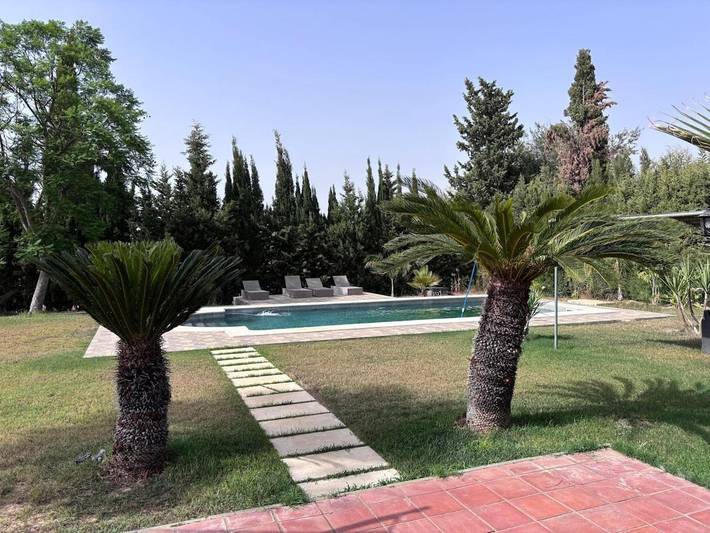 Casa rural para 14 personas, con Jacuzzi y Terraza además de Jardín y Piscina en Aznalcázar - 4