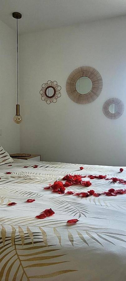 Location de vacances pour 3 personnes, avec jardin ainsi que sauna et jacuzzi dans Lac de Bairon - 4