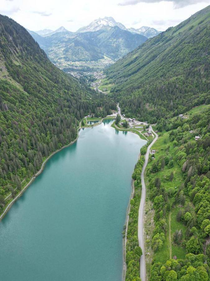 Gîte pour 8 personnes, avec terrasse ainsi que jacuzzi et jardin dans Lac de Montriond - 4