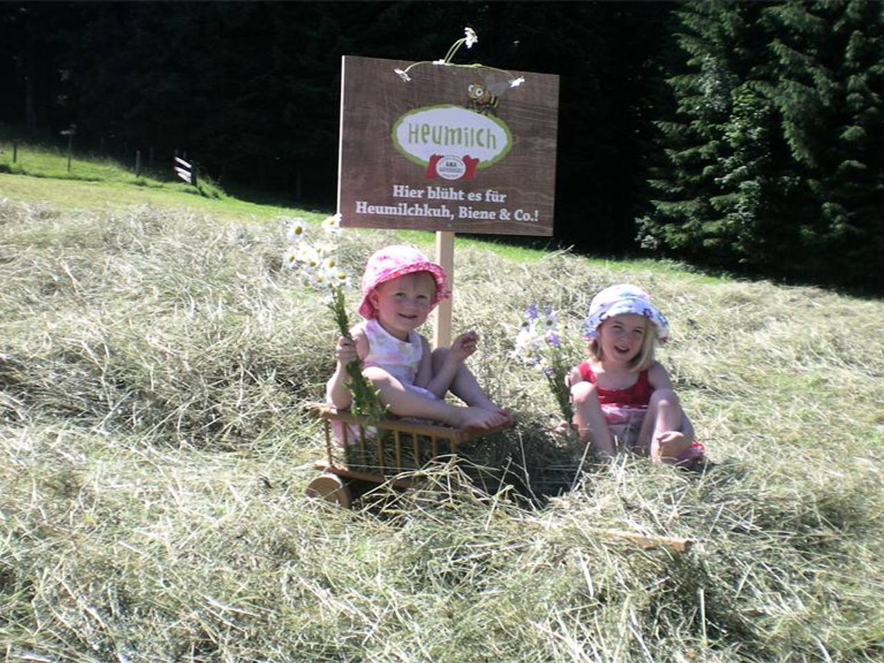 Ganze Ferienwohnung, Ferienhof Mayrhofer - Ferienwohnung Heublume in Innerschwand am Mondsee, Traunviertel