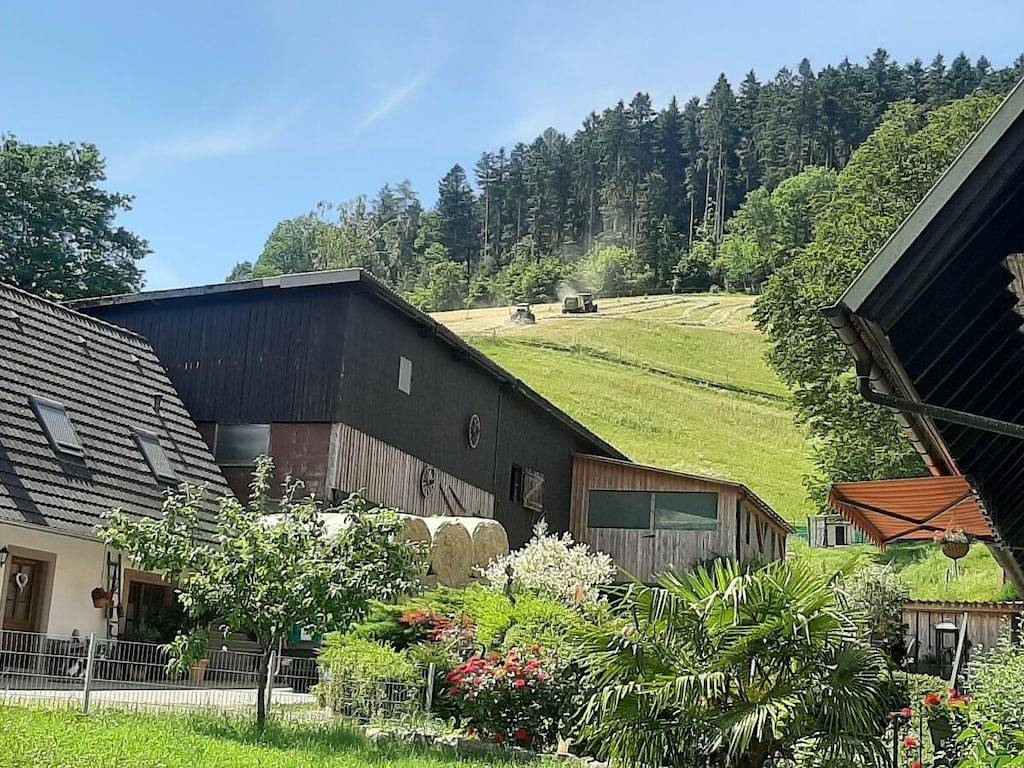 Bauernhof mit 1 Schlafzimmer in Biberach, Mittlerer Schwarzwald