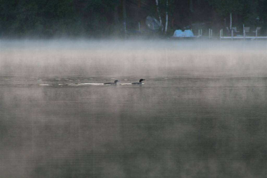 Klassische Minnesota-Kabine auf schönem See O'Brien - schließt Ponton-Boot mit ein in Crosslake, Crow Wing County