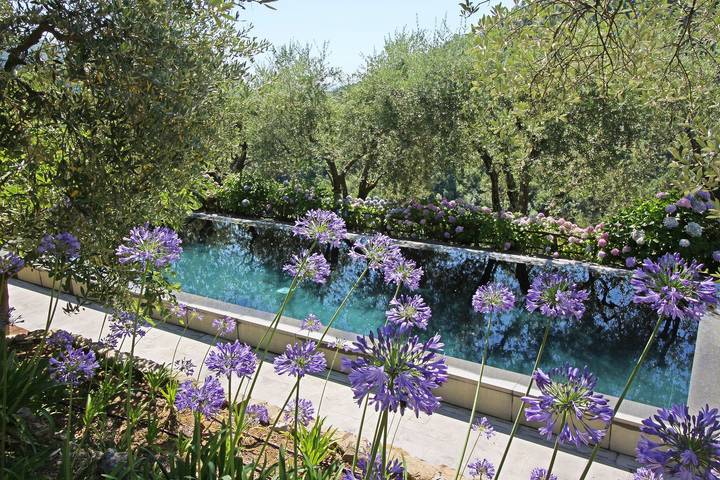 Villa for 10 people, with yard in Lucca