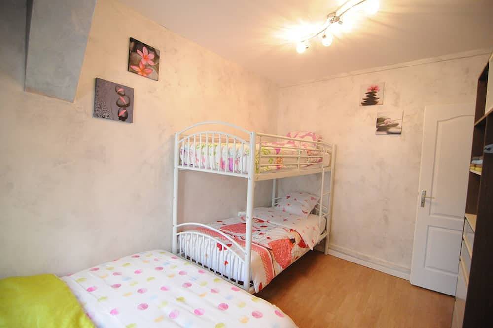 Entire apartment, View of the Loire and château, charming air-conditioned apartment, 65m2, sleeps 6/8 in Amboise, Tours region