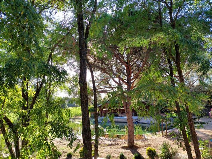 Gîte pour 6 personnes, avec piscine ainsi que jardin et vue à Uchaux - 3