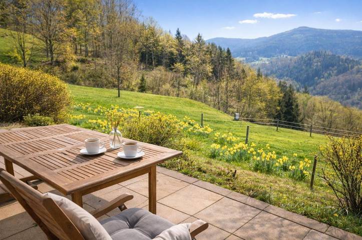 Ferienhaus für 22 Personen, mit Terrasse und Garten sowie Sauna in Nationalpark Schwarzwald - 2
