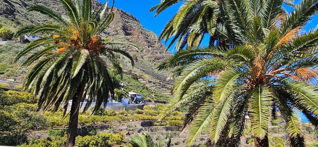 Casa rural para 2 personas, con jardín y vistas en Hermigua - 2