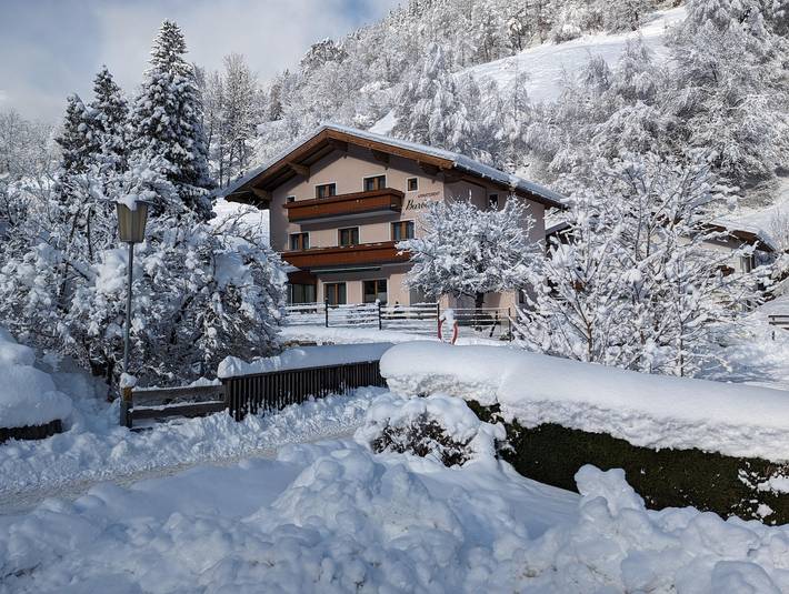 Gîte pour 6 personnes, avec jardin et balcon, animaux acceptés à Zell am See - 3