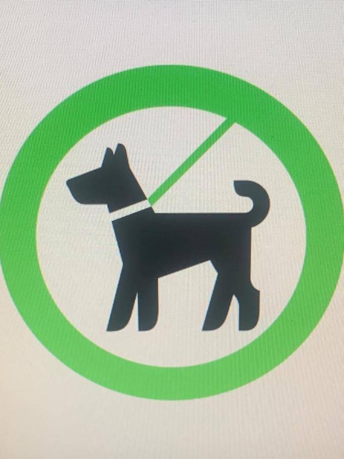 Location de vacances pour 8 personnes, avec jardin à Montaigut-le-Blanc - 2