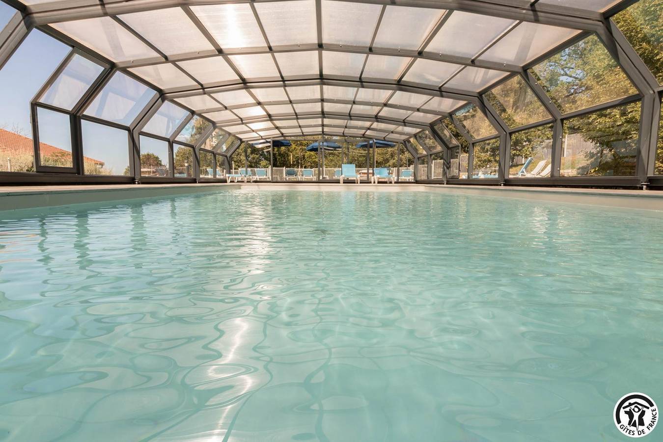 Magnolias in Revel, Lauragais