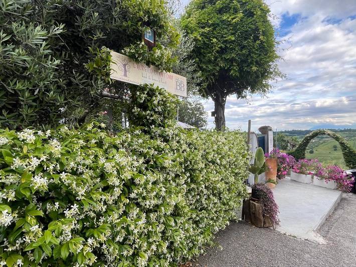 B&b per 3 persone, con Balcone e Terrazza nonché Giardino e Panorama a Atri
