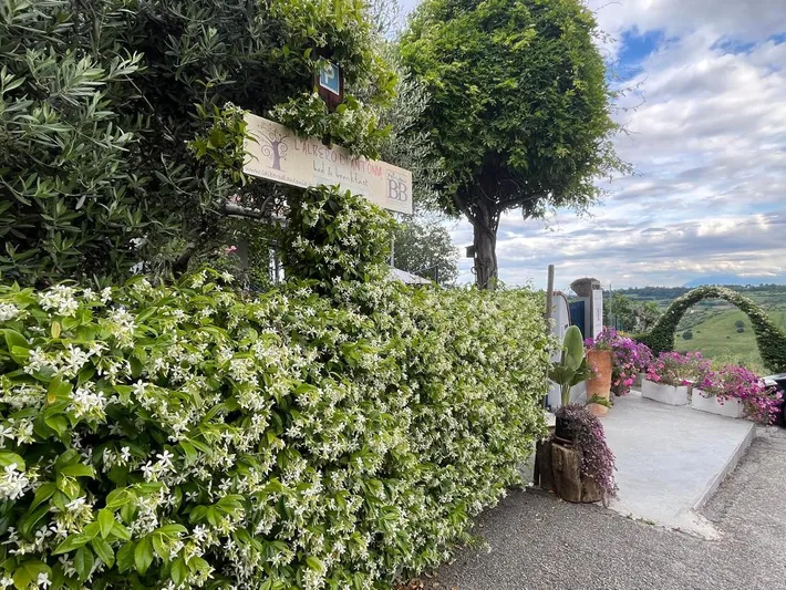 Bed and breakfast per 2 persone, con giardino e panorama, con animali domestici - 1