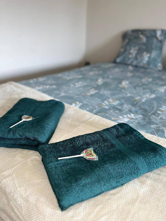 Gîte pour 5 personnes, animaux acceptés à Marmande - 4