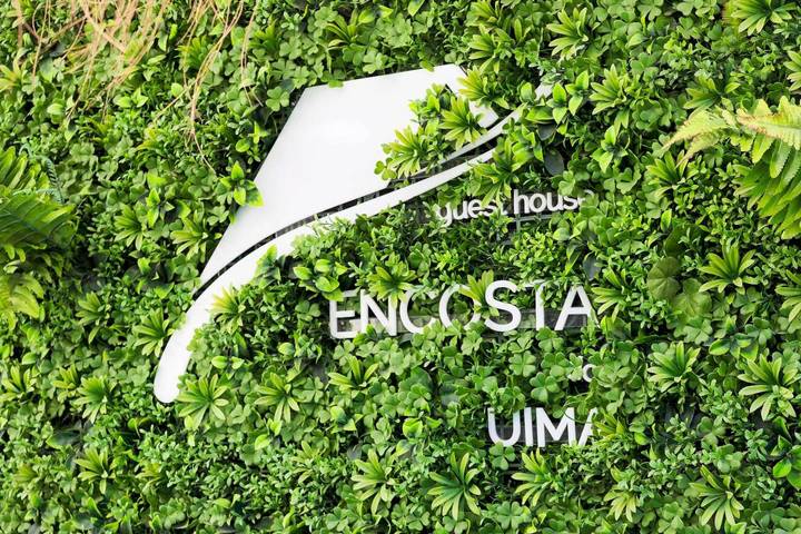 Gîte pour 6 personnes, avec jardin et vue à Santa Maria da Feira - 3