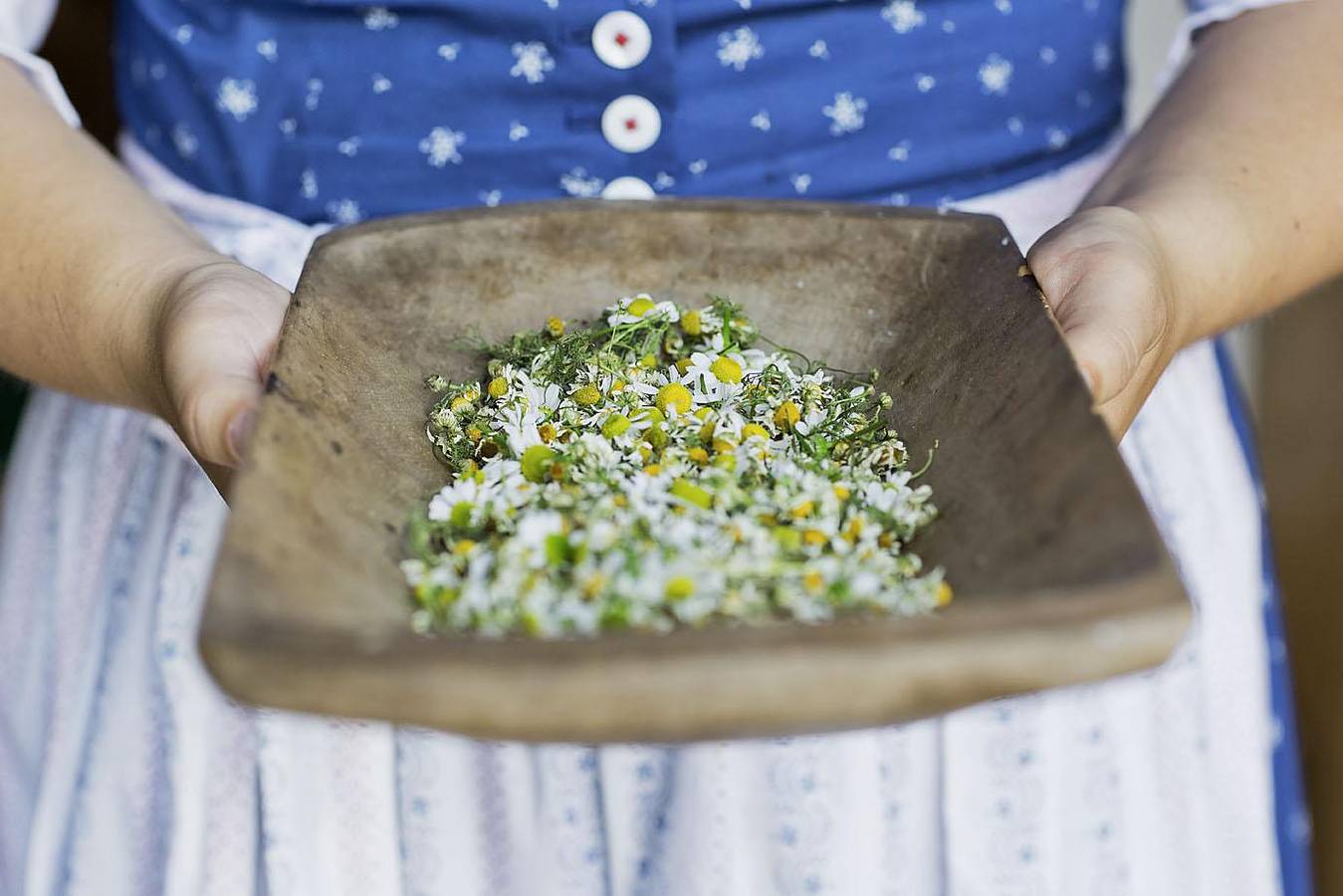 Studio "Glück" in Hinterthal, Steinernes Meer