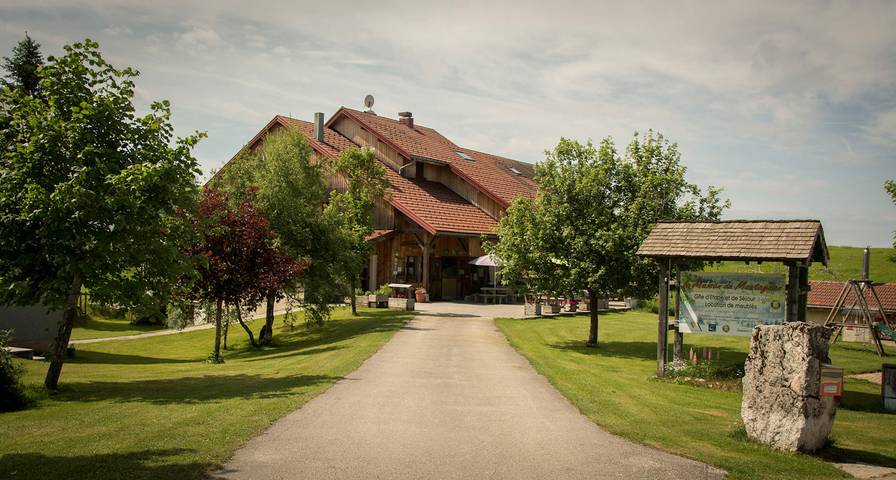 Gîte pour 40 personnes, avec jardin et sauna - 1