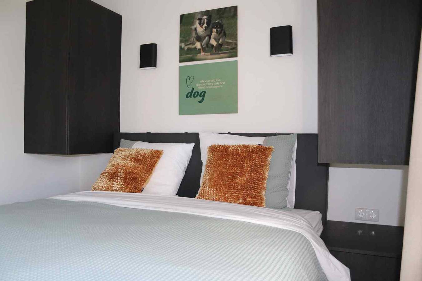 Modern 4 persoons vakantiehuis op een huisdiervriendelijk vakantiepark nabij Hardenberg in Hardenberg, Regio Zwolle