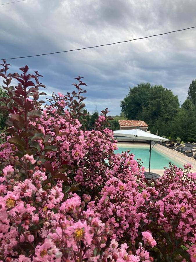 Appartement entier, Gite Abeille-Soleil in Saint-Nicolas-de-la-Grave, Tarn-et-Garonne