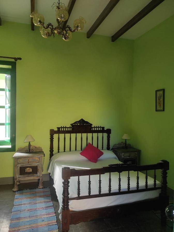 Casa rural para 11 personas, con vistas y jardín además de piscina y terraza, Se admiten mascotas en Arico - 4