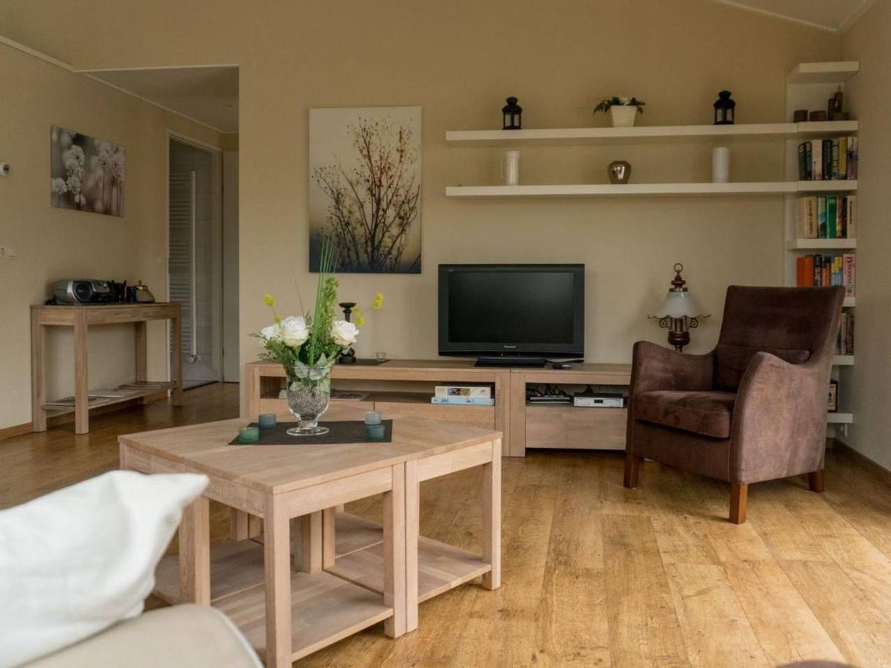 Seehund in Sint-Annaland, Niederländische Nordsee