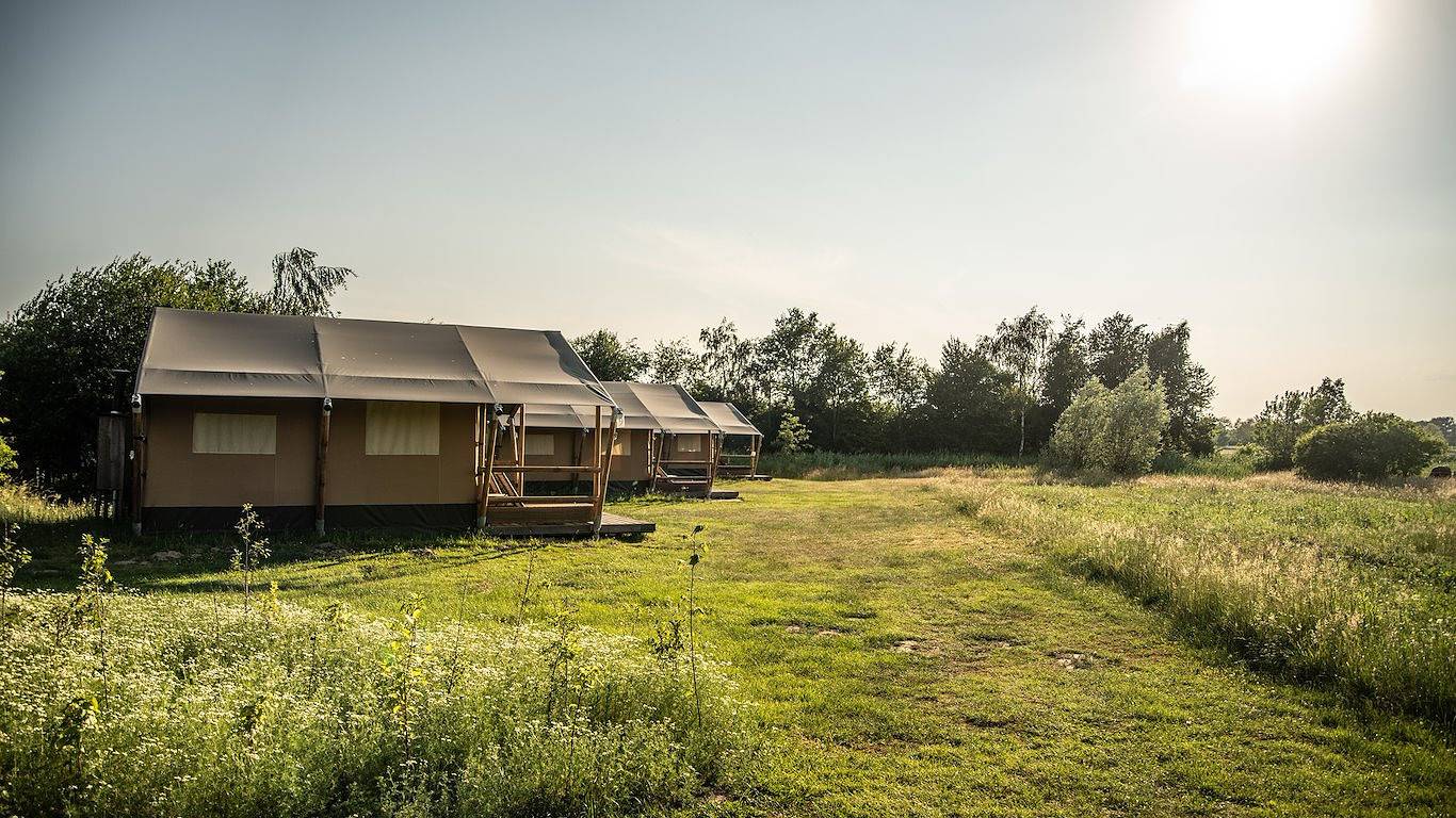 Erfgoed Bossem - Stoer Lodgetent Twin in Twente