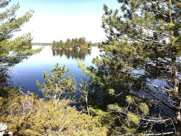 Cabin Rentals And Lodges for 4 Guests in Algonquin Provincial Park, Picture 3