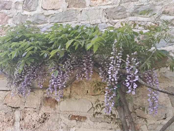 Appartement de vacances pour 2 personnes, avec terrasse ainsi que jardin et vue - 1